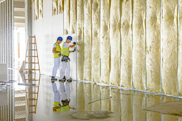 Professional Insulation Contractor in CT